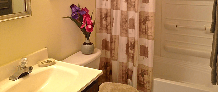 Apartment Bathroom Apartment Bathroom